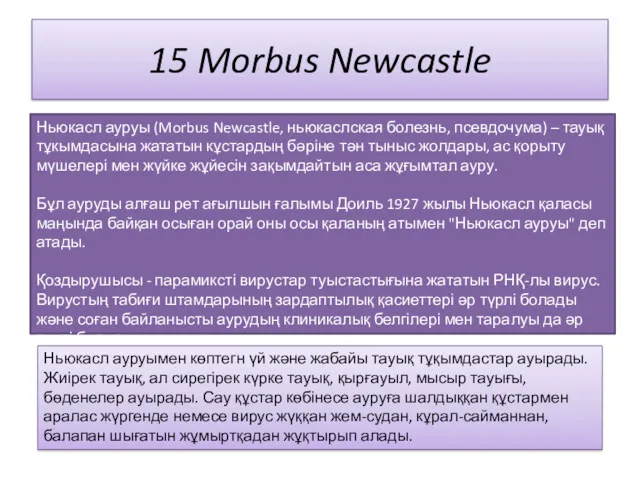 15 Morbus Newcastle Ньюкасл ауруы (Morbus Newcastle, ньюкаслская болезнь, псевдочума) – тауық тұкымдасына