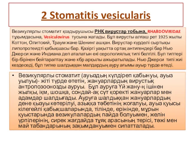 2 Stomatitis vesicularis Везикулярлы стоматит (ауыздың күлдіреп қабынуы, ауыз уылуы)- жіті түрде өтетін,