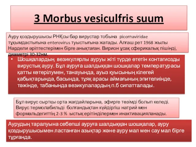 3 Morbus vesiculfris suum Шошқалардың везикулярлы ауруы жіті түрде өтетін контагиозды вирустық ауру.