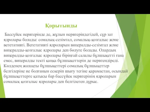 Қорытынды Бассүйек нервтерінде де, жұлын нервтеріндегідей, сұр зат ядролары болады: