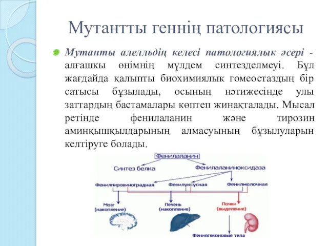 Мутантты геннің патологиясы Мутанты алелльдің келесі патологиялык әсері -алғашкы өнімнің