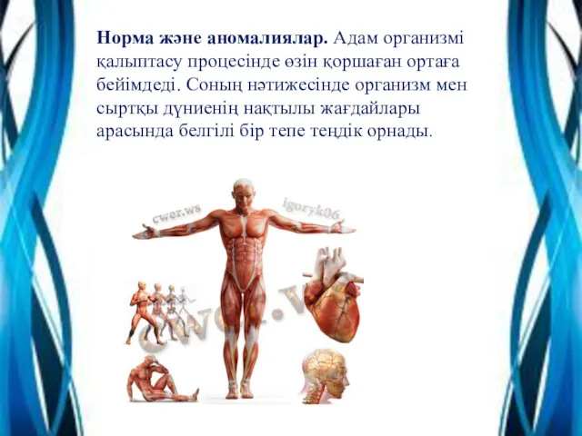 Норма және аномалиялар. Адам организмі қалыптасу процесінде өзін қоршаған ортаға бейімдеді. Соның нәтижесінде