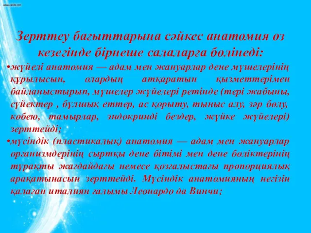 Зерттеу бағыттарына сәйкес анатомия өз кезегінде бірнеше салаларға бөлінеді: жүйелі анатомия — адам