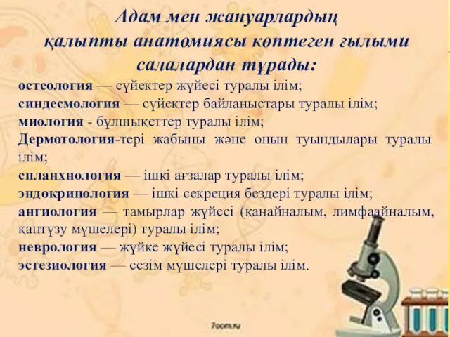 Адам мен жануарлардың қалыпты анатомиясы көптеген ғылыми салалардан тұрады: остеология — сүйектер жүйесі