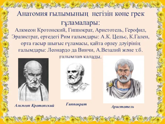 Анатомия ғылымының негізін көне грек ғұламалары: Алкмеон Кротонский, Гиппократ, Аристотель, Герофил, Эразистрат, ертедегі