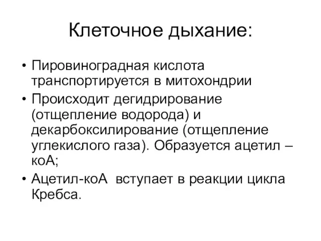 Клеточное дыхание: Пировиноградная кислота транспортируется в митохондрии Происходит дегидрирование (отщепление