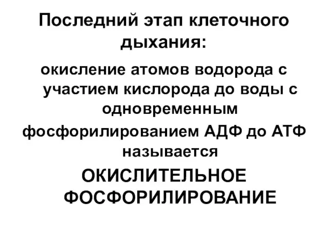 Последний этап клеточного дыхания: окисление атомов водорода с участием кислорода