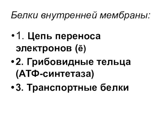 Белки внутренней мембраны: 1. Цепь переноса электронов (ē) 2. Грибовидные тельца (АТФ-синтетаза) 3. Транспортные белки