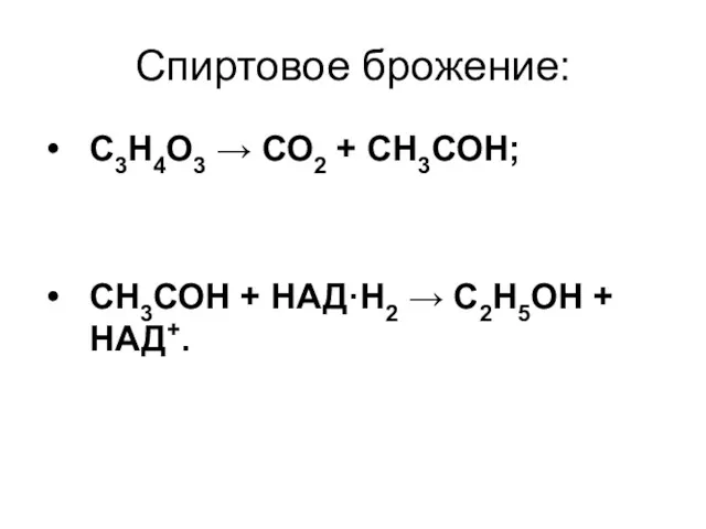 Спиртовое брожение: С3Н4О3 → СО2 + СН3СОН; СН3СОН + НАД·Н2 → С2Н5ОН + НАД+.
