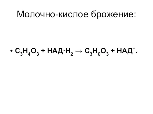 Молочно-кислое брожение: С3Н4О3 + НАД·Н2 → С3Н6О3 + НАД+.