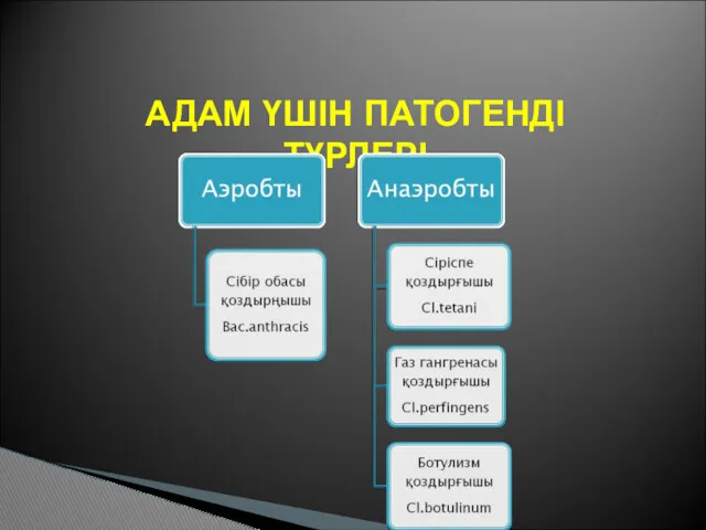 АДАМ ҮШІН ПАТОГЕНДІ ТҮРЛЕРІ