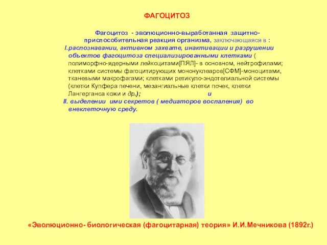 Фагоцитоз - эволюционно-выработанная защитно-приспособительная реакция организма, заключающаяся в : распознавании,