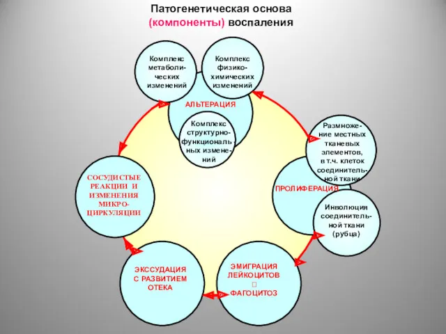 СОСУДИСТЫЕ РЕАКЦИИ И ИЗМЕНЕНИЯ МИКРО-ЦИРКУЛЯЦИИ ЭМИГРАЦИЯ ЛЕЙКОЦИТОВ ? ФАГОЦИТОЗ АЛЬТЕРАЦИЯ