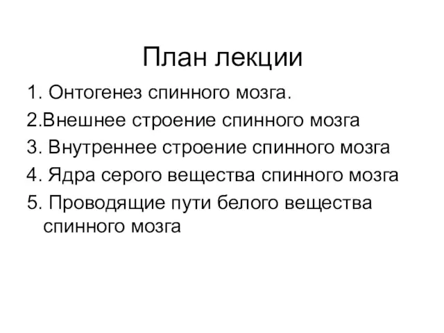 План лекции 1. Онтогенез спинного мозга. 2.Внешнее строение спинного мозга