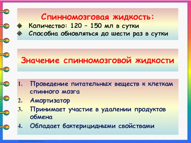 Значение спинномозговой жидкости Проведение питательных веществ к клеткам спинного мозга