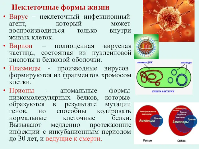 Неклеточные формы жизни Вирус – неклеточный инфекционный агент, который может