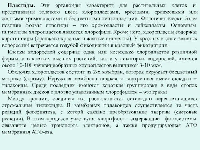 Пластиды. Эти органоиды характерны для растительных клеток и представлены зеленого