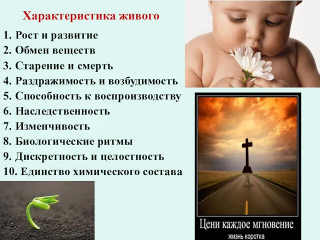 1. Рост и развитие 2. Обмен веществ 3. Старение и