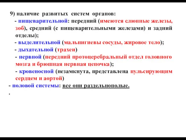 9) наличие развитых систем органов: - пищеварительной: передний (имеются слюнные