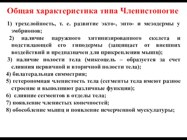 Общая характеристика типа Членистоногие 1) трехслойность, т. е. развитие экто-,