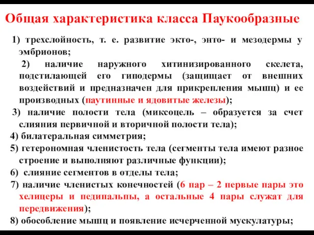 Общая характеристика класса Паукообразные 1) трехслойность, т. е. развитие экто-,