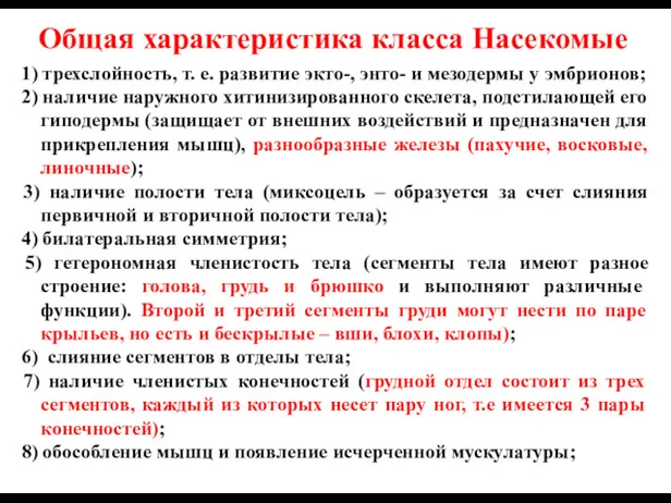 Общая характеристика класса Насекомые 1) трехслойность, т. е. развитие экто-,