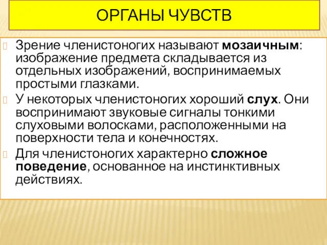 Зрение членистоногих называют мозаичным: изображение предмета складывается из отдельных изображений,