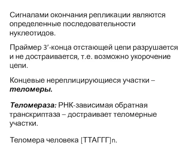 Сигналами окончания репликации являются определенные последовательности нуклеотидов. Праймер 3’-конца отстающей