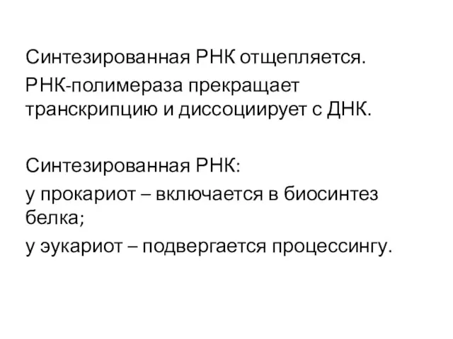 Синтезированная РНК отщепляется. РНК-полимераза прекращает транскрипцию и диссоциирует с ДНК.