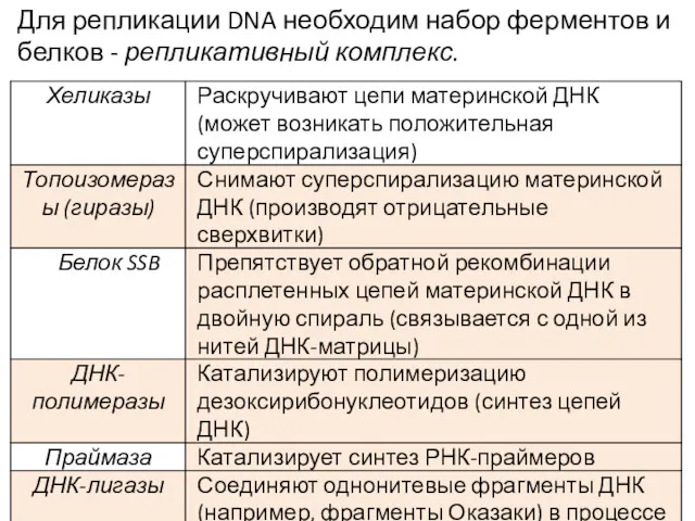 Для репликации DNA необходим набор ферментов и белков - репликативный комплекс.