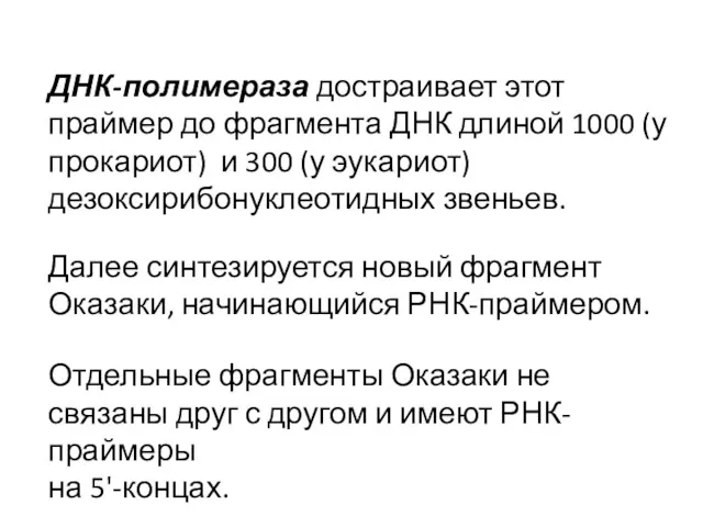 ДНК-полимераза достраивает этот праймер до фрагмента ДНК длиной 1000 (у прокариот) и 300