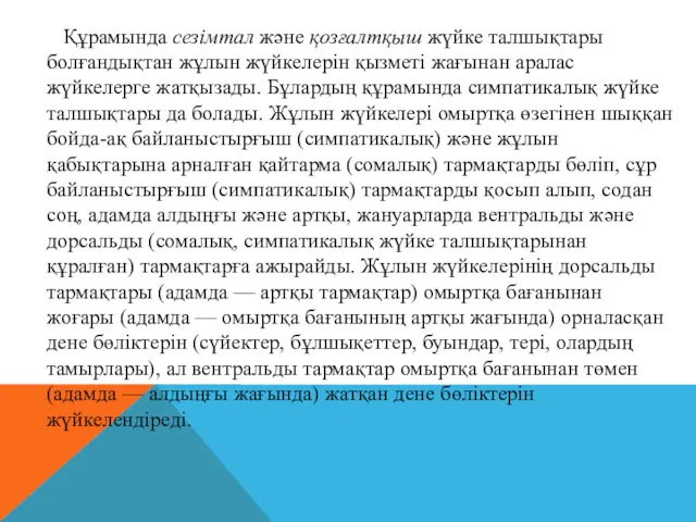 Құрамында сезімтал және қозғалтқыш жүйке талшықтары болғандықтан жұлын жүйкелерін қызметі