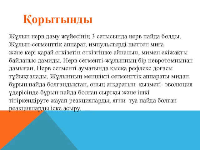 Қорытынды Жұлын нерв даму жүйесінің 3 сатысында нерв пайда болды.