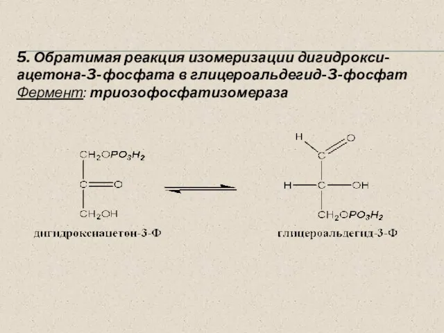 5. Обратимая реакция изомеризации дигидрокси-ацетона-3-фосфата в глицероальдегид-3-фосфат Фермент: триозофосфатизомераза