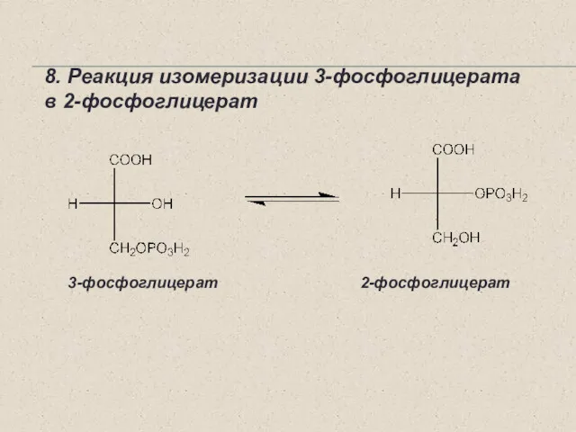 8. Реакция изомеризации 3-фосфоглицерата в 2-фосфоглицерат