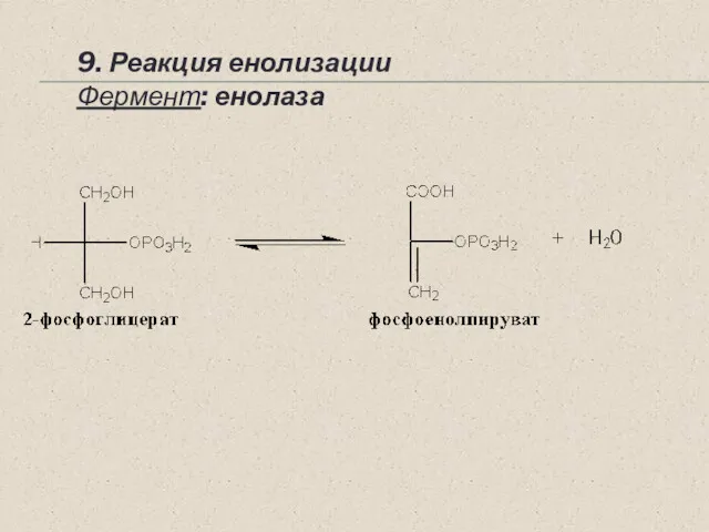 9. Реакция енолизации Фермент: енолаза ~PO3H2