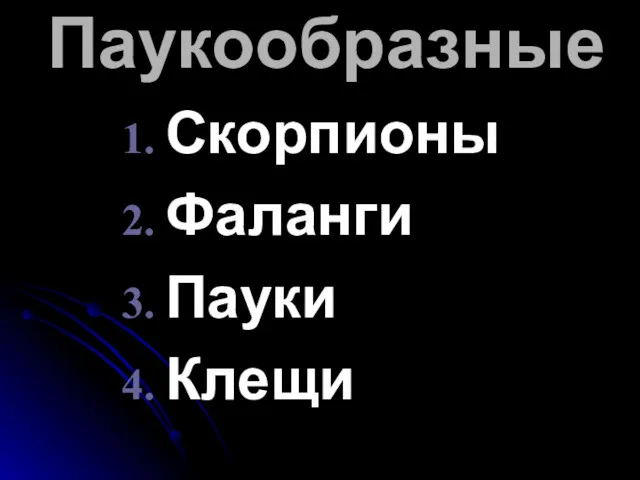 Паукообразные Скорпионы Фаланги Пауки Клещи