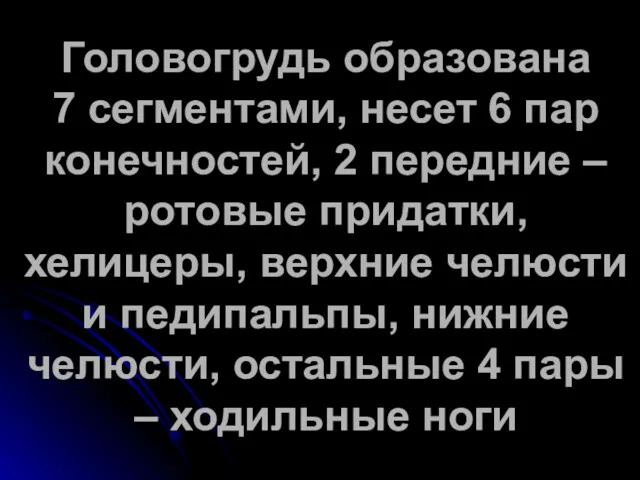 Головогрудь образована 7 сегментами, несет 6 пар конечностей, 2 передние