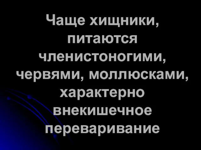 Чаще хищники, питаются членистоногими, червями, моллюсками, характерно внекишечное переваривание