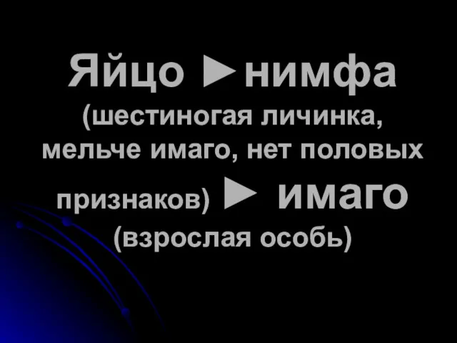 Яйцо ►нимфа (шестиногая личинка, мельче имаго, нет половых признаков) ► имаго (взрослая особь)