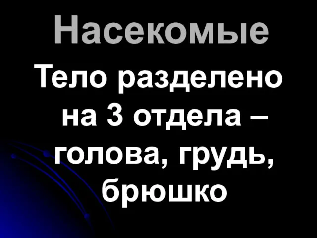 Насекомые Тело разделено на 3 отдела – голова, грудь, брюшко