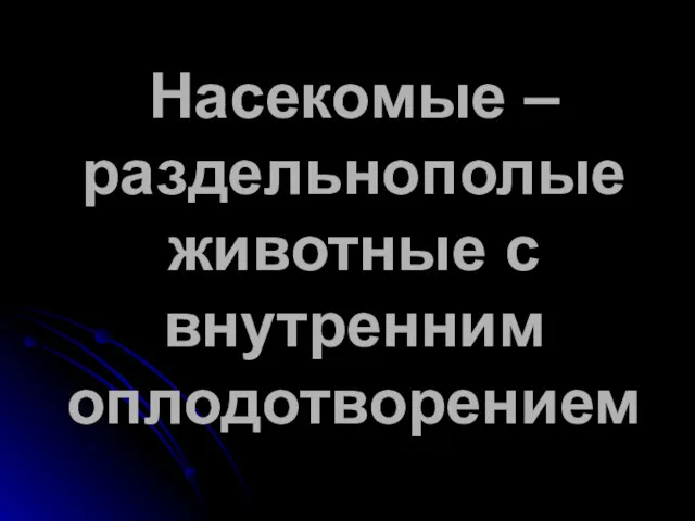 Насекомые – раздельнополые животные с внутренним оплодотворением