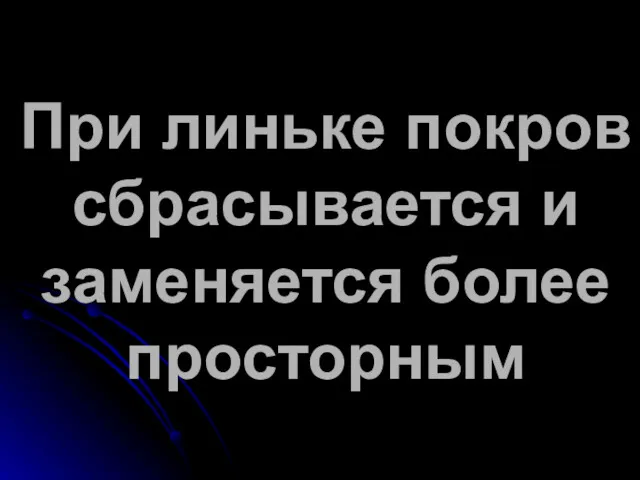 При линьке покров сбрасывается и заменяется более просторным