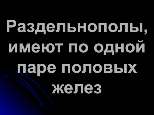 Раздельнополы, имеют по одной паре половых желез