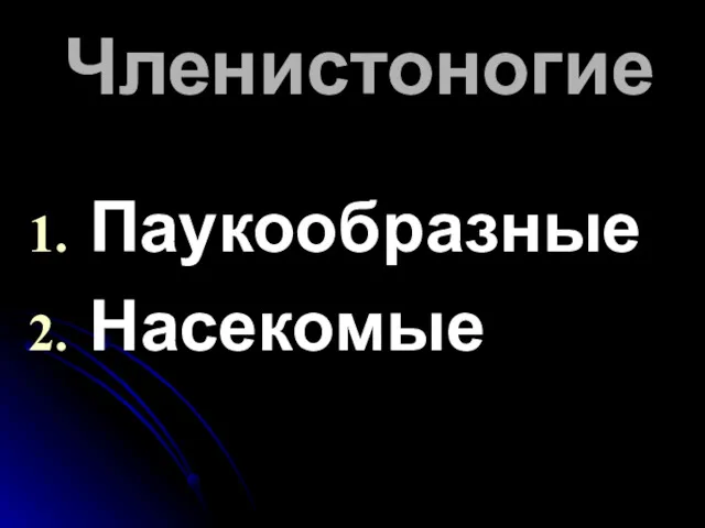 Членистоногие Паукообразные Насекомые