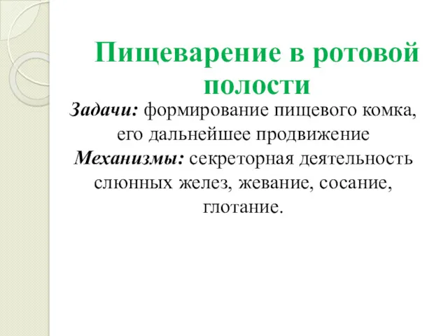 Задачи: формирование пищевого комка, его дальнейшее продвижение Механизмы: секреторная деятельность