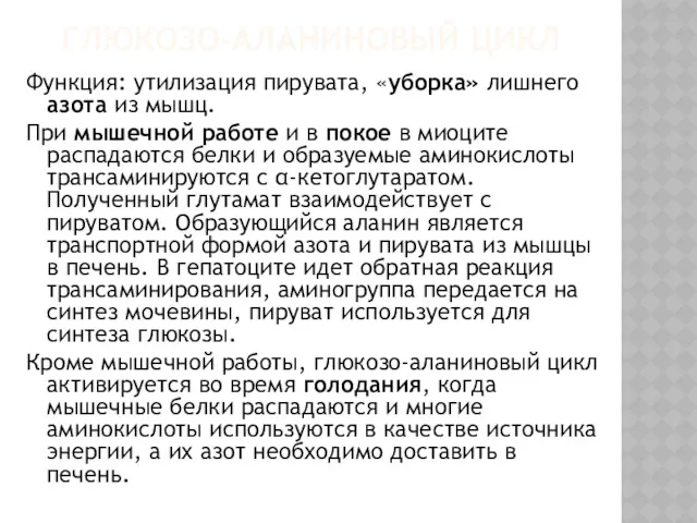 ГЛЮКОЗО-АЛАНИНОВЫЙ ЦИКЛ Функция: утилизация пирувата, «уборка» лишнего азота из мышц.