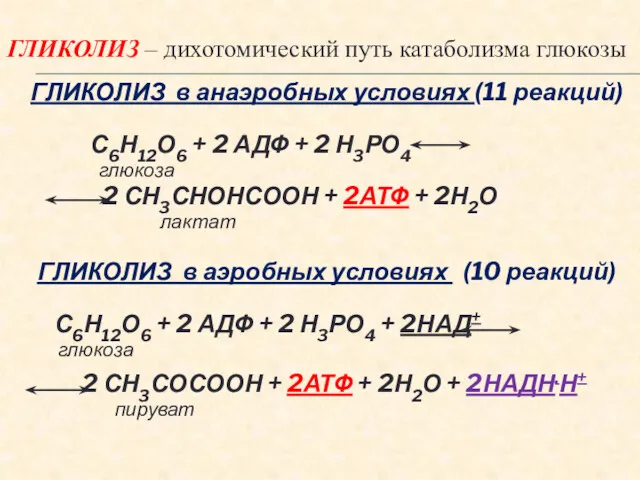 ГЛИКОЛИЗ – дихотомический путь катаболизма глюкозы ГЛИКОЛИЗ в анаэробных условиях