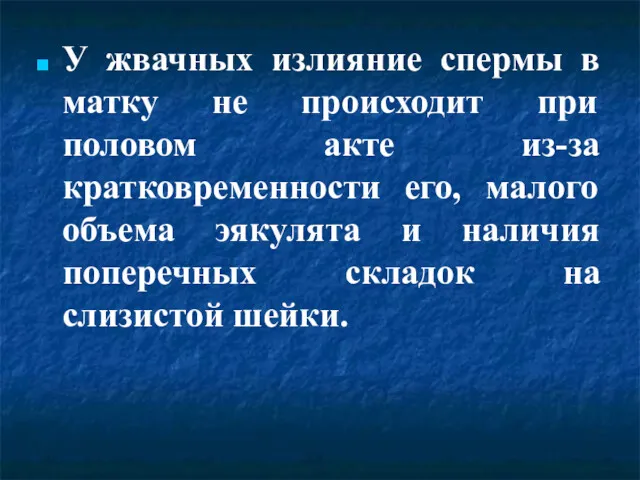 У жвачных излияние спермы в матку не происходит при половом