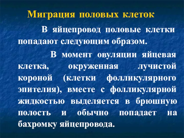 Миграция половых клеток В яйцепровод половые клетки попадают следующим образом.